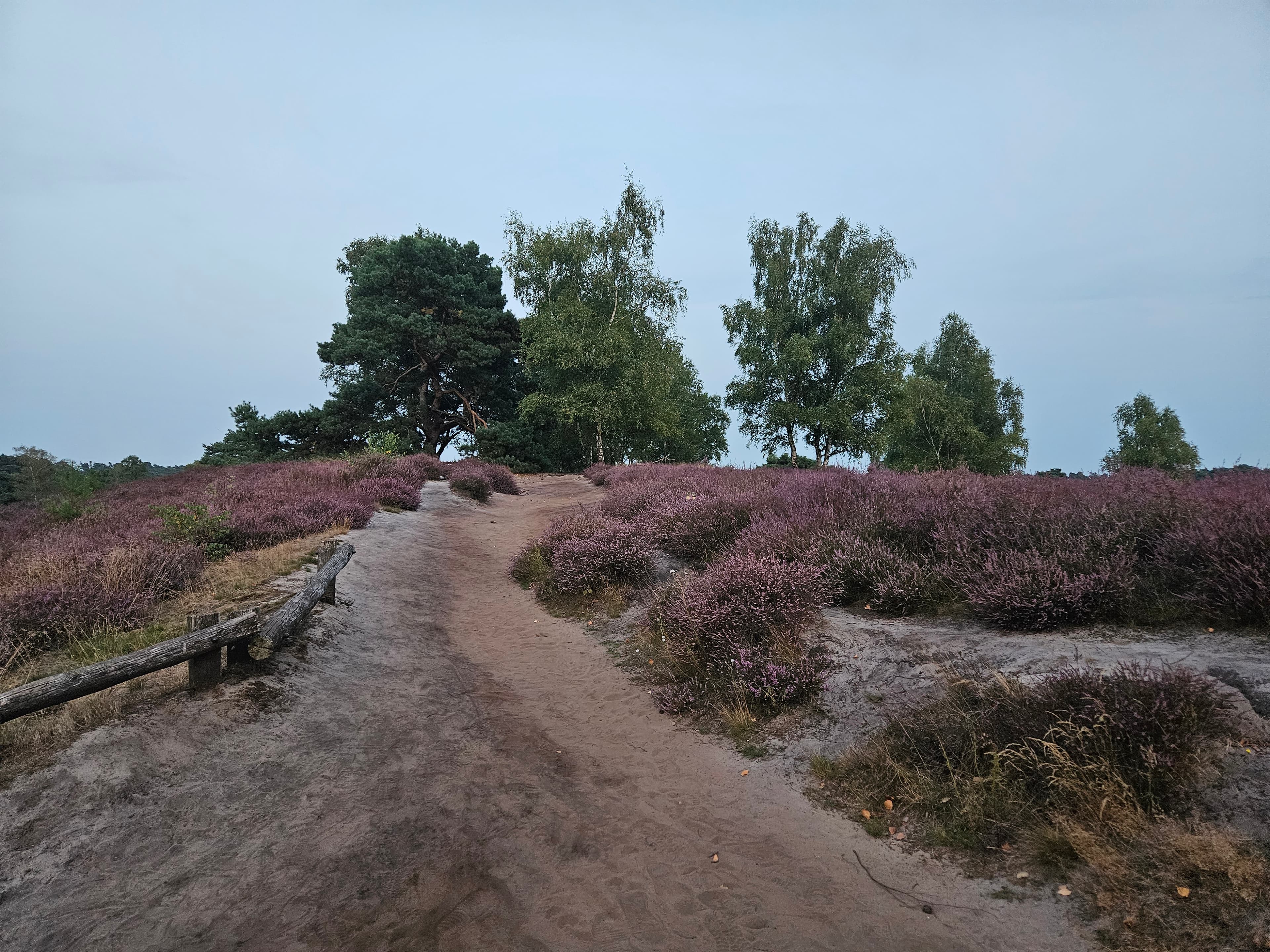 Achtsamkeit, Bewegung & Qi Gong: 3 1000202451