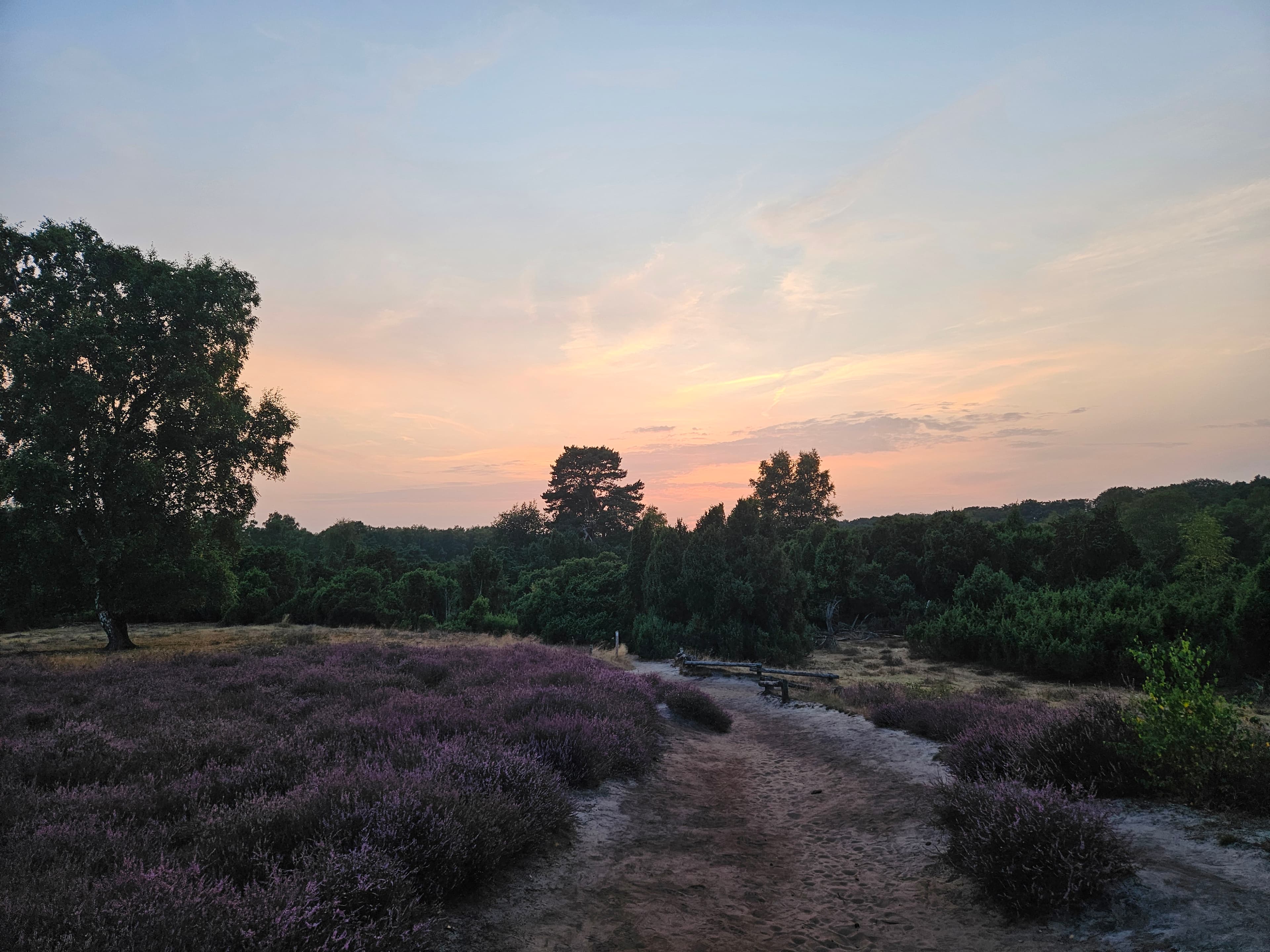 Achtsamkeit, Bewegung & Qi Gong: 6 1000202449